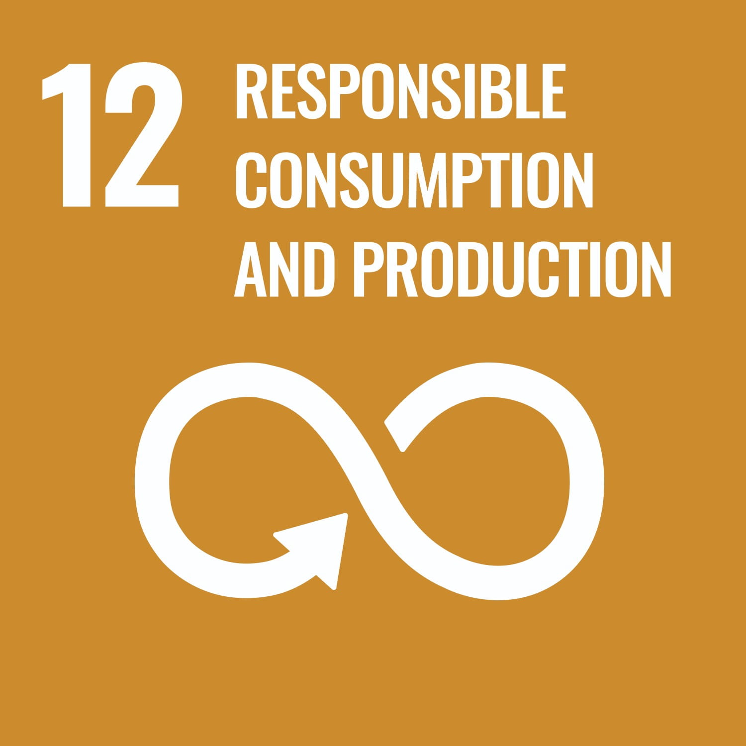 SDG 12 icon representing Responsible Consumption and Production