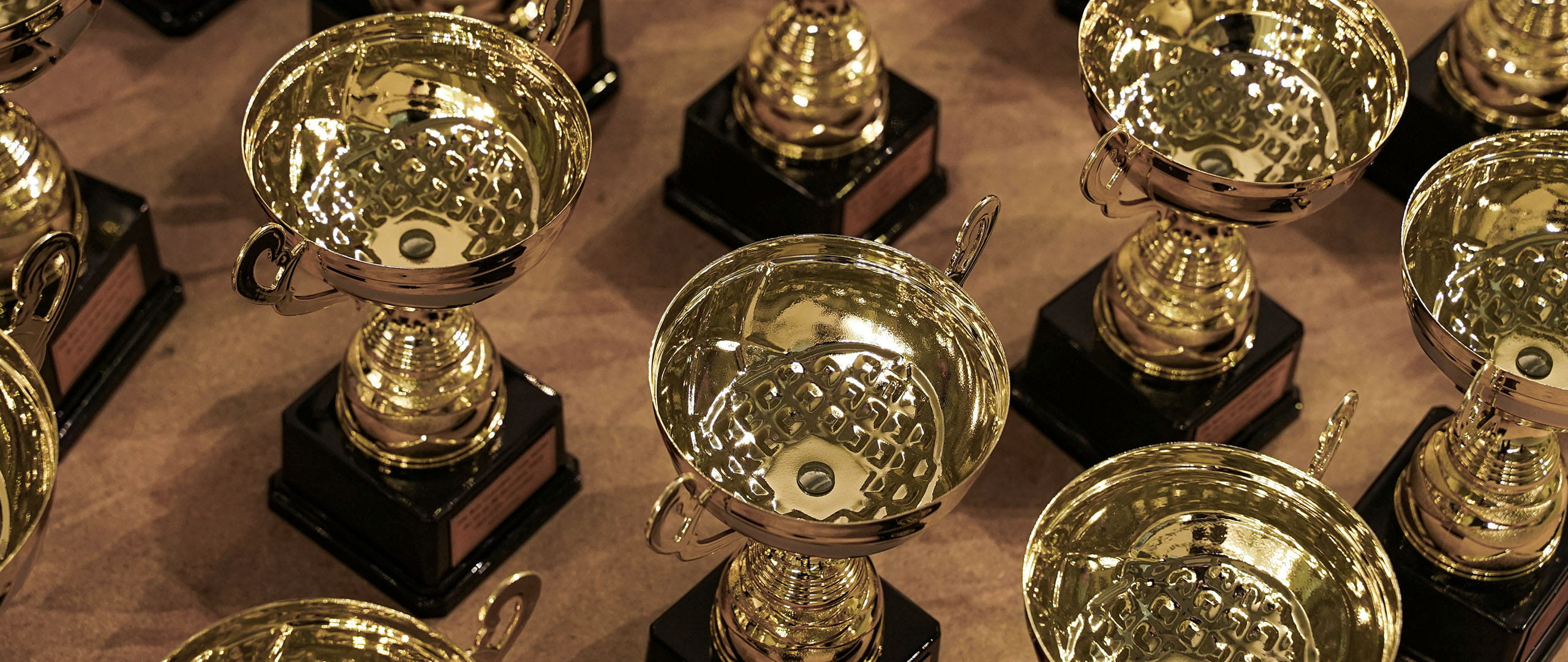 Multiple award trophies arranged in rows on a surface, each mounted on a rectangular base.