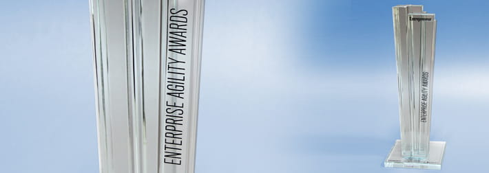 Photo of award trophy or certificate.